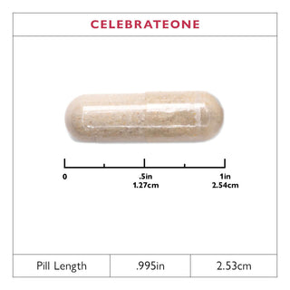 CelebrateONE Once Daily Bariatric Multivitamin içermeyen Demir, Kapsüller